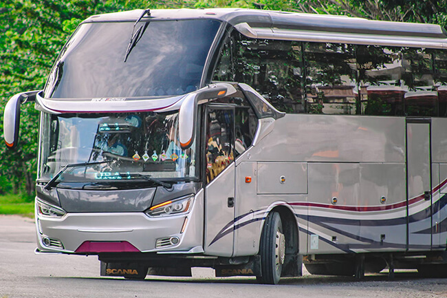 Savannah Charter Bus - 55 Passengers